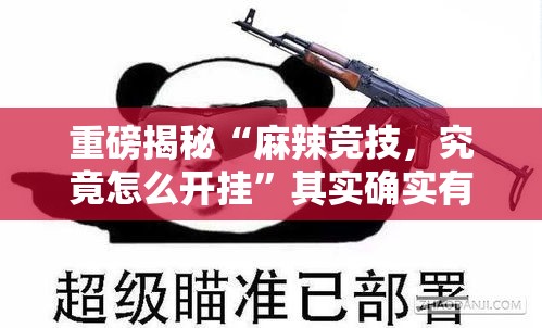 重磅揭秘“麻辣竞技，究竟怎么开挂”其实确实有挂