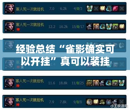 经验总结“雀影确实可以开挂	”真可以装挂
