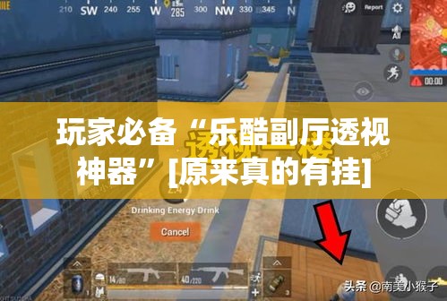 玩家必备“乐酷副厅透视神器”[原来真的有挂]