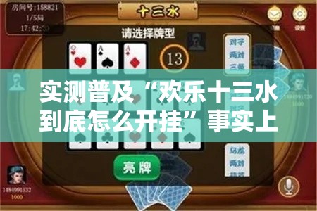 实测普及“欢乐十三水到底怎么开挂”事实上确实有挂