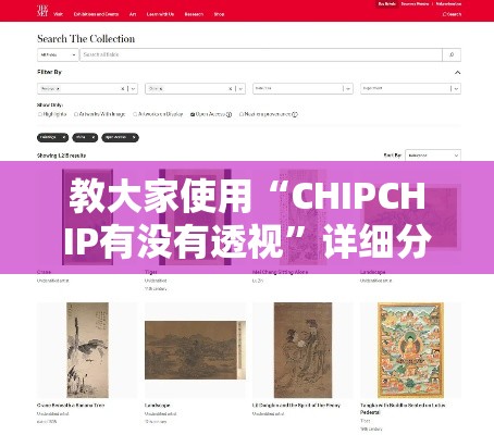 教大家使用“CHIPCHIP有没有透视”详细分享步骤