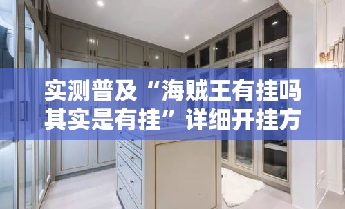 实测普及“海贼王有挂吗其实是有挂	”详细开挂方法