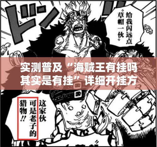实测普及“海贼王有挂吗其实是有挂”详细开挂方法