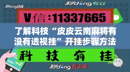 了解科技“皮皮云南麻将有没有透视挂”开挂步骤方法
