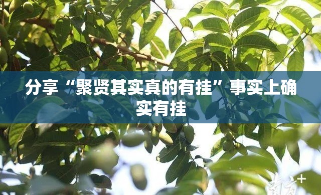 分享“聚贤其实真的有挂	”事实上确实有挂