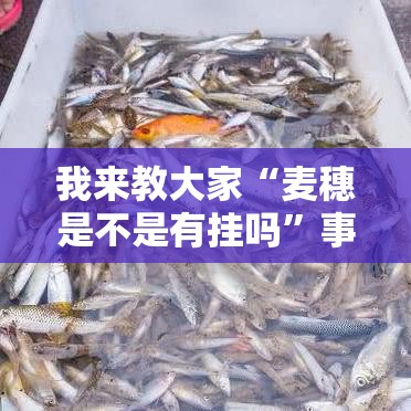 我来教大家“麦穗是不是有挂吗”事实上真的有挂