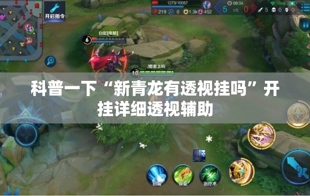 科普一下“新青龙有透视挂吗”开挂详细透视辅助