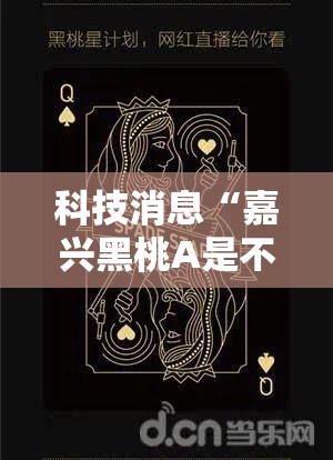 科技消息“嘉兴黑桃A是不是能开挂	”真可以装挂