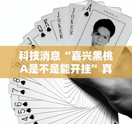 科技消息“嘉兴黑桃A是不是能开挂	”真可以装挂