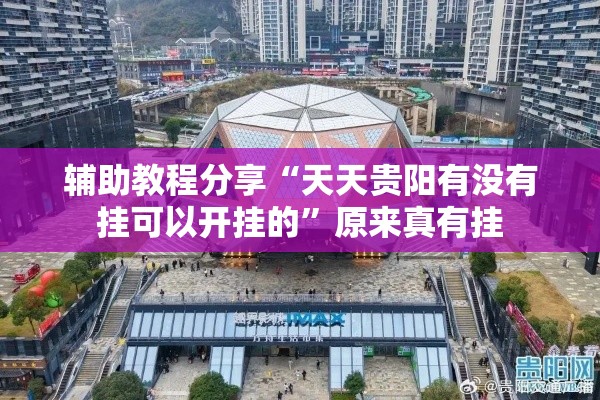 辅助教程分享“天天贵阳有没有挂可以开挂的”原来真有挂