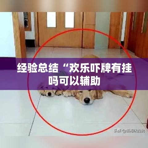 经验总结“欢乐吓牌有挂吗可以辅助
