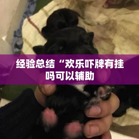 经验总结“欢乐吓牌有挂吗可以辅助
