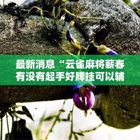 最新消息“云雀麻将蕲春有没有起手好牌挂可以辅助 最新消息“云雀麻将蕲春有没有起手好牌挂可以辅助