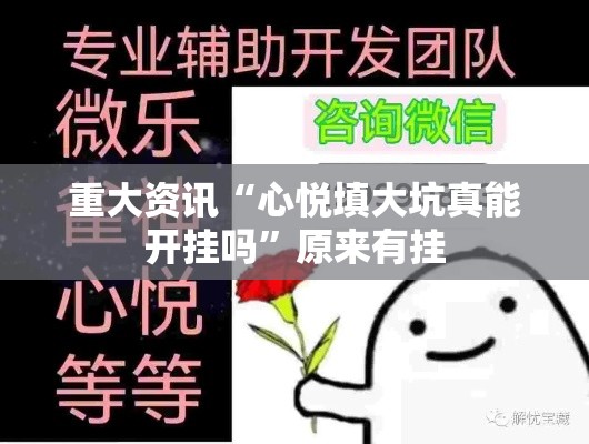 重大资讯“心悦填大坑真能开挂吗”原来有挂