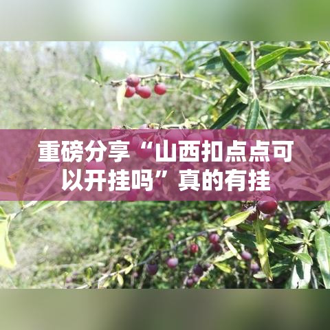 重磅分享“山西扣点点可以开挂吗”真的有挂