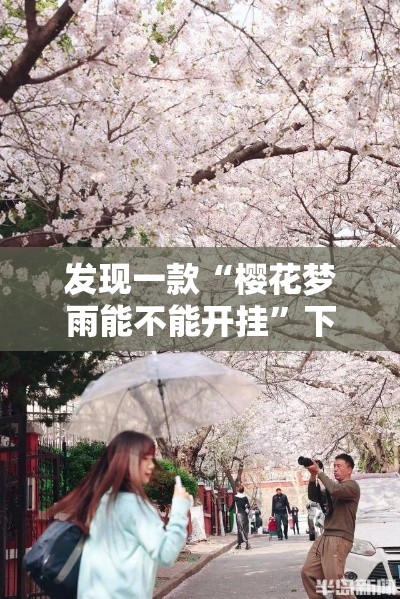 发现一款“樱花梦雨能不能开挂”下载教程