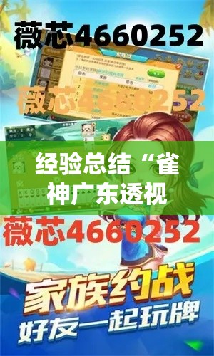 经验总结“雀神广东透视神器”真可以装挂