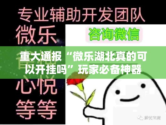 重大通报“微乐湖北真的可以开挂吗”玩家必备神器