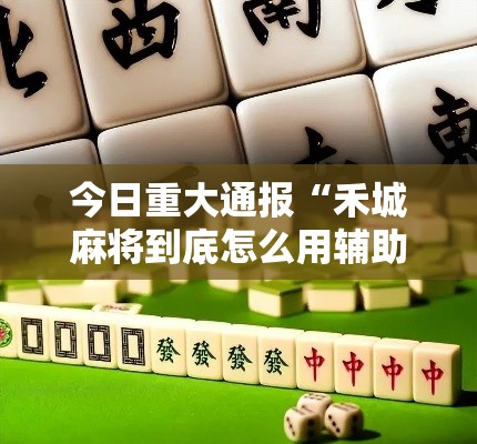 今日重大通报“禾城麻将到底怎么用辅助”确实是有挂的
