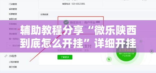 辅助教程分享“微乐陕西到底怎么开挂	”详细开挂教程