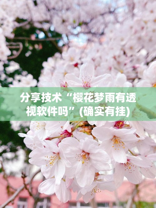 分享技术“樱花梦雨有透视软件吗”(确实有挂)