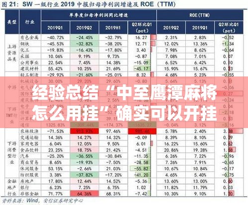 经验总结“中至鹰潭麻将怎么用挂”确实可以开挂