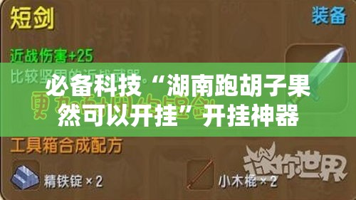 必备科技“湖南跑胡子果然可以开挂”开挂神器