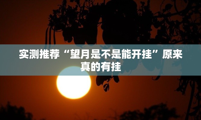 实测推荐“望月是不是能开挂	”原来真的有挂