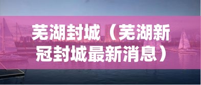 芜湖封城（芜湖新冠封城最新消息）