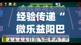 经验传递“微乐益阳巴十确实能开挂”开挂(透视)辅助