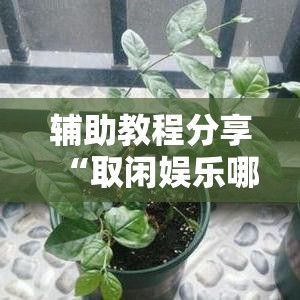 辅助教程分享“取闲娱乐哪里能买到挂	”原来确实有挂
