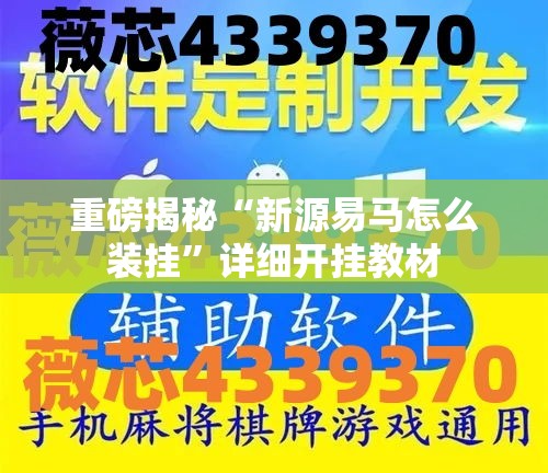 重磅揭秘“新源易马怎么装挂”详细开挂教材