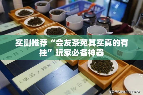 实测推荐“会友茶苑其实真的有挂	”玩家必备神器