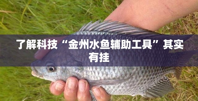 了解科技“金州水鱼辅助工具”其实有挂