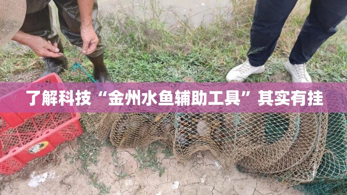 了解科技“金州水鱼辅助工具	”其实有挂