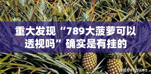 重大发现“789大菠萝可以透视吗”确实是有挂的