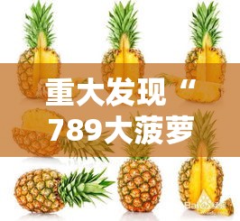 重大发现“789大菠萝可以透视吗”确实是有挂的