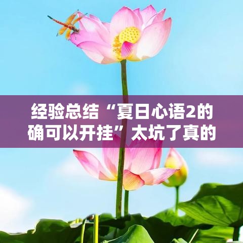经验总结“夏日心语2的确可以开挂”太坑了真的有挂