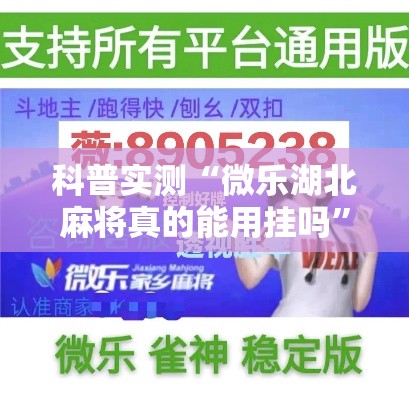 科普实测“微乐湖北麻将真的能用挂吗”其实是有挂