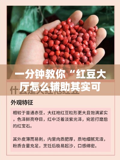 一分钟教你“红豆大厅怎么辅助其实可以装挂