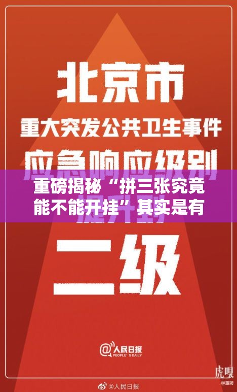 重磅揭秘“拼三张究竟能不能开挂”其实是有挂