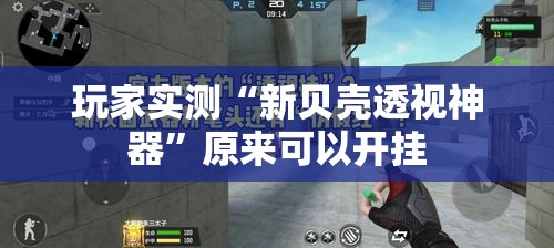 玩家实测“新贝壳透视神器”原来可以开挂