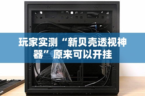 玩家实测“新贝壳透视神器	”原来可以开挂