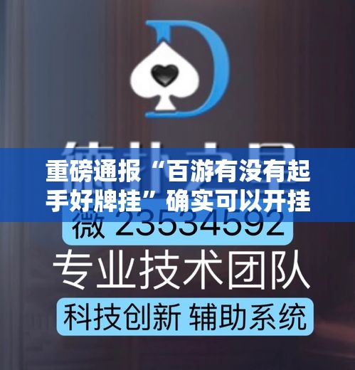 重磅通报“百游有没有起手好牌挂”确实可以开挂