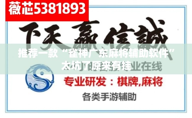 推荐一款“雀神广东麻将辅助软件	”太坑了原来有挂