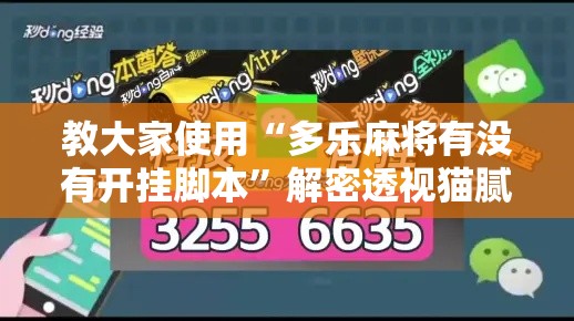 教大家使用“多乐麻将有没有开挂脚本”解密透视猫腻