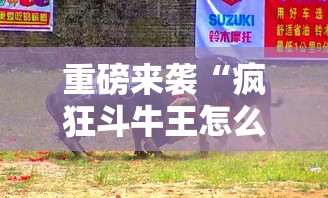 重磅来袭“疯狂斗牛王怎么辅助 	”太坑了原来有挂