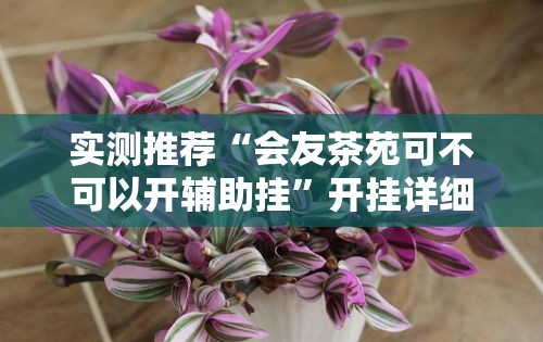 实测推荐“会友茶苑可不可以开辅助挂”开挂详细方法
