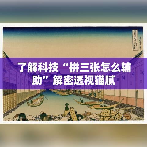 了解科技“拼三张怎么辅助”解密透视猫腻
