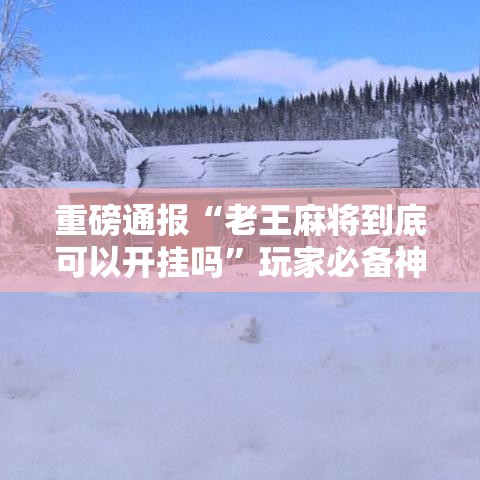 重磅通报“老王麻将到底可以开挂吗”玩家必备神器